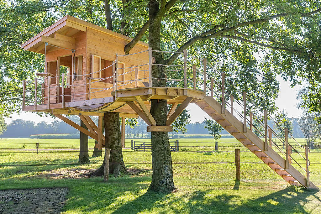 How Tree Houses Can Enhance Your Outdoor Space? How Tree Houses Can Enhance Your Outdoor Space?