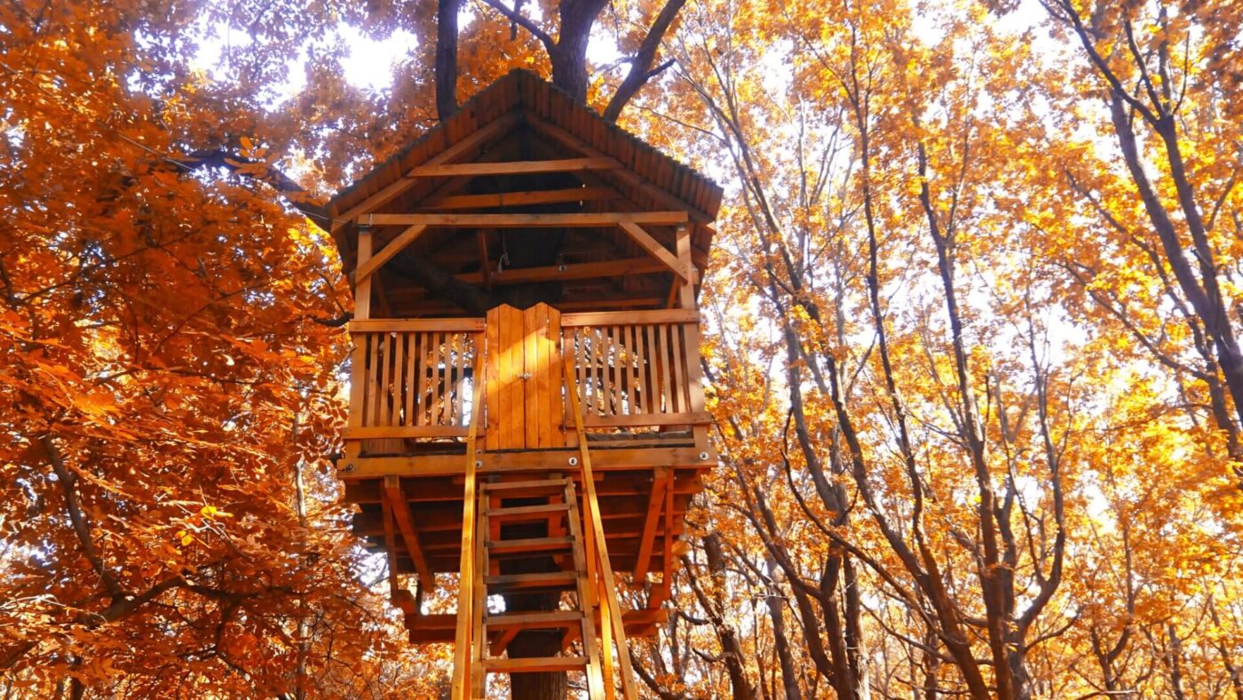 安全で楽しく、長持ちするツリーハウスの作り方 3-オータム・ヘイブン-バーモント州の居心地の良いツリーハウスでのエスケープ