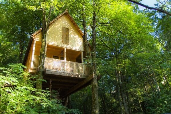 4-The Forest Haven - Un refugio de lujo en la Selva Negra