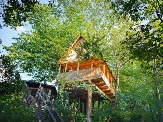 4-The Forest Haven - Ein luxuriöses Baumhaus im Schwarzwald