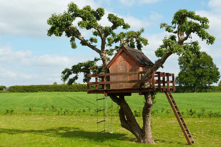 Treehouse Masters Cost: How Much Does a Custom Treehouse Really Cost ...
