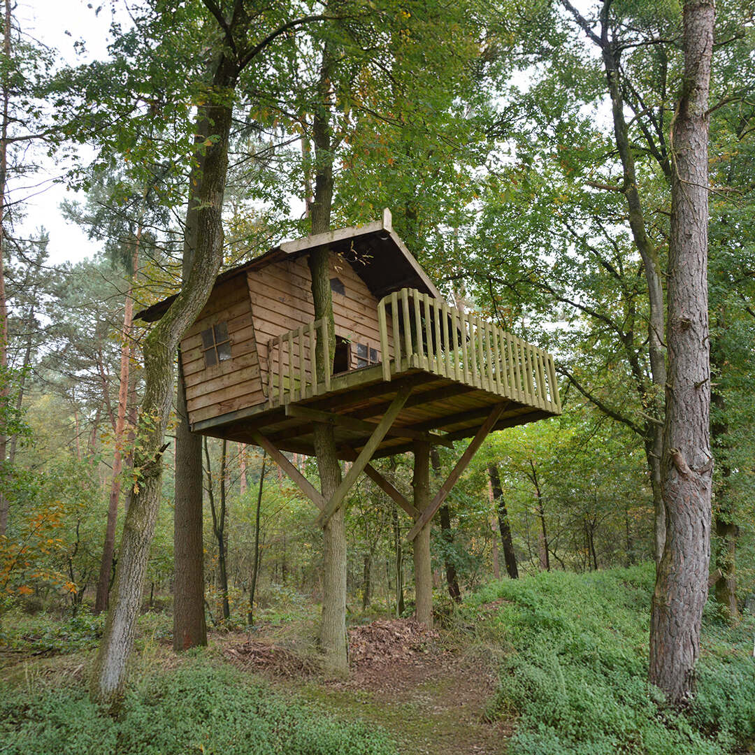 TREE TOP PLAYHOUSES 3