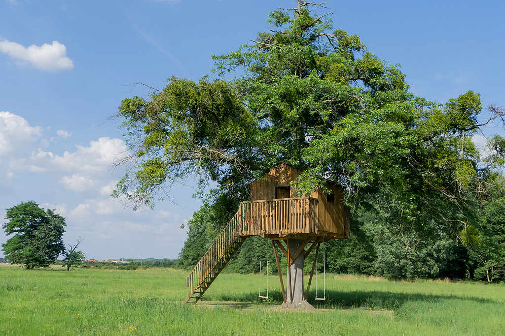 Maison de l'arbre 11