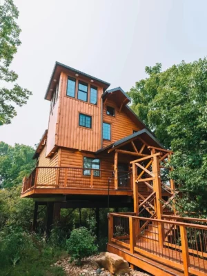 Pourquoi les cabanes de luxe dans les arbres sont-elles la nouvelle tendance en matière de voyage ?