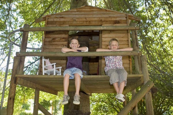 How to Build a Tree House That’s Safe, Fun, and Long-Lasting ...