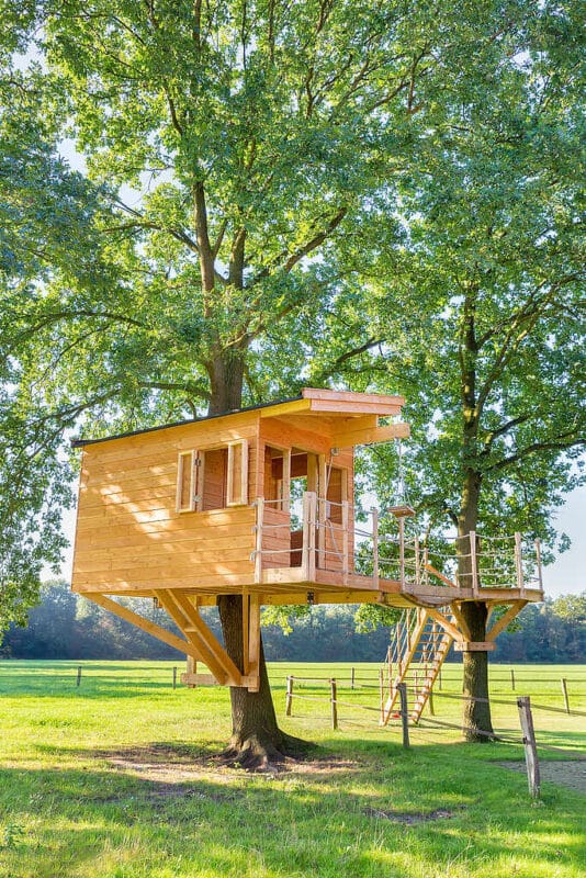 Ahorre tiempo y dinero con nuestros kits todo en uno para casitas de árbol Ahorre tiempo y dinero con nuestros kits todo en uno para casitas de árbol