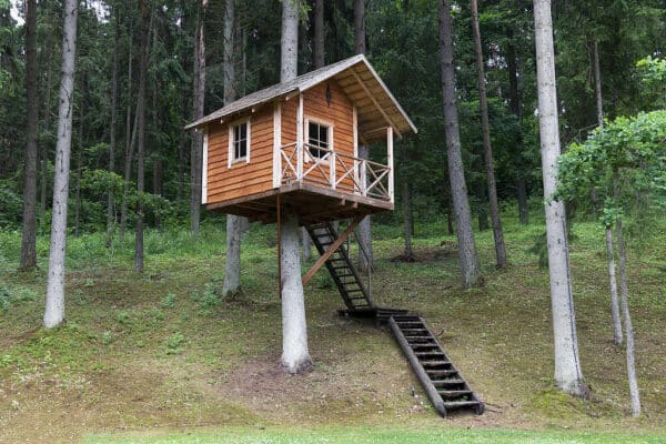 Maison de l'arbre 9 1