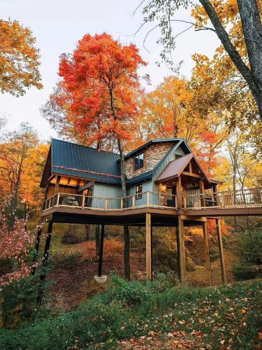 Tree Loft Rope Treehouse Masters Cost: Unveiling the Price Truth - treelofts.com