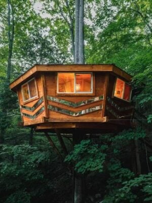 Fragen Sie sich immer noch, wie Sie Ihr Baumhaus in die Höhe bringen können? Der ultimative "Baumhaus-Hardware"-Leitfaden