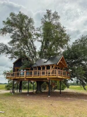 Des rêves inébranlables à la cime des arbres : La magie des kits de quincaillerie pour la maison de l'arbre
