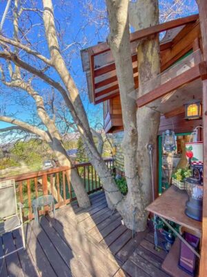 Build Your Sky-High Oasis with Tree House Kits